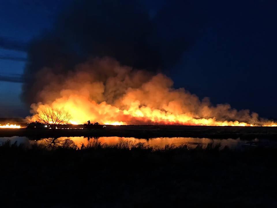 FUN FACTS OF THE... - Battle Creek Volunteer Fire and Rescue | Facebook