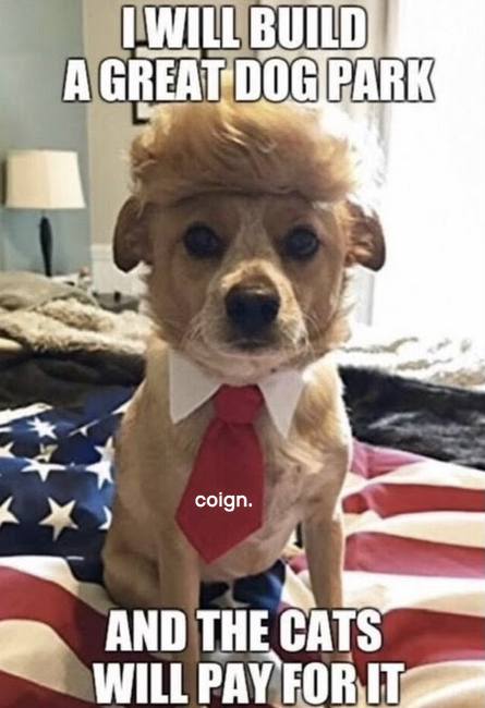 Coign - Who does this sound like to you!?🤣 Apply for a...