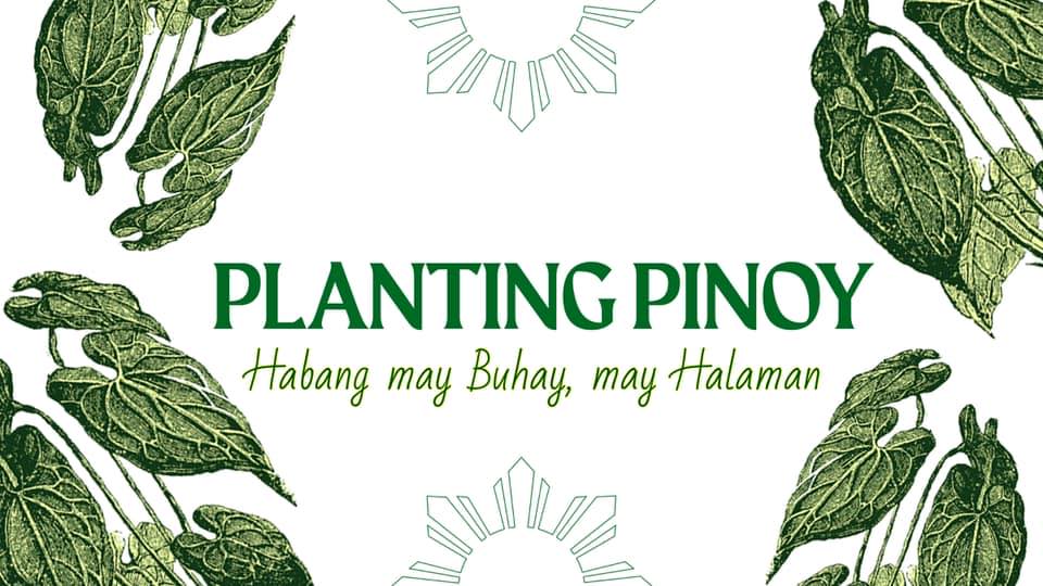 Planting Pinoy | Mexico