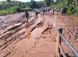 LES GRANDS SAGES DE LA RDC