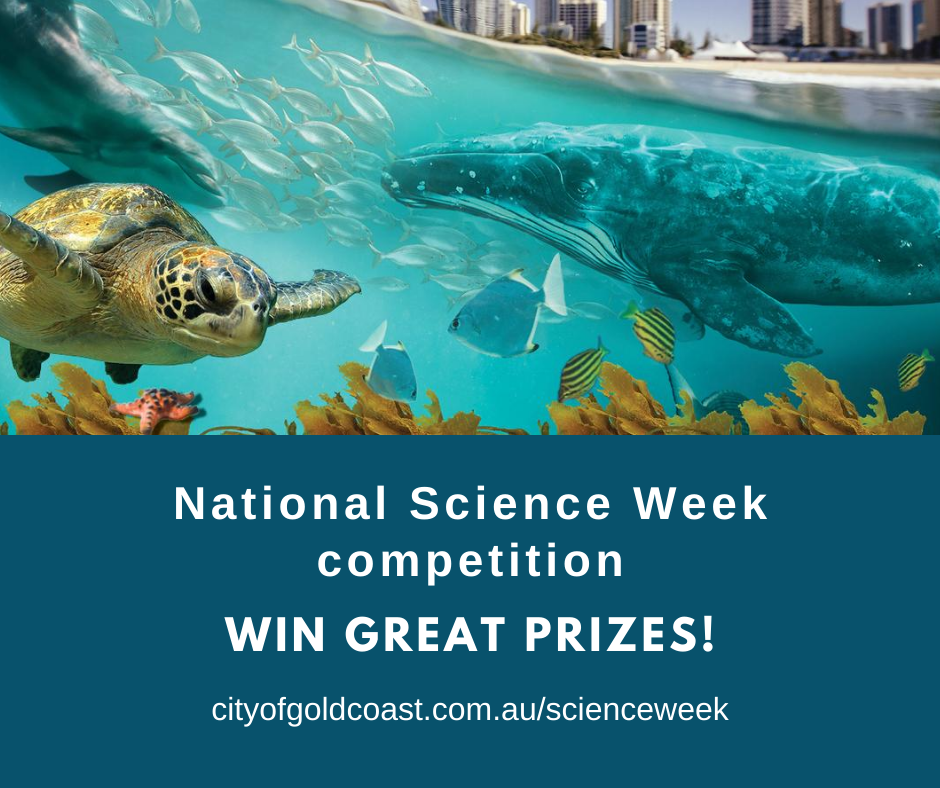 ⏰ IT'S COMPETITION TIME: ⭐ Get... - Gold Coast Libraries | Facebook