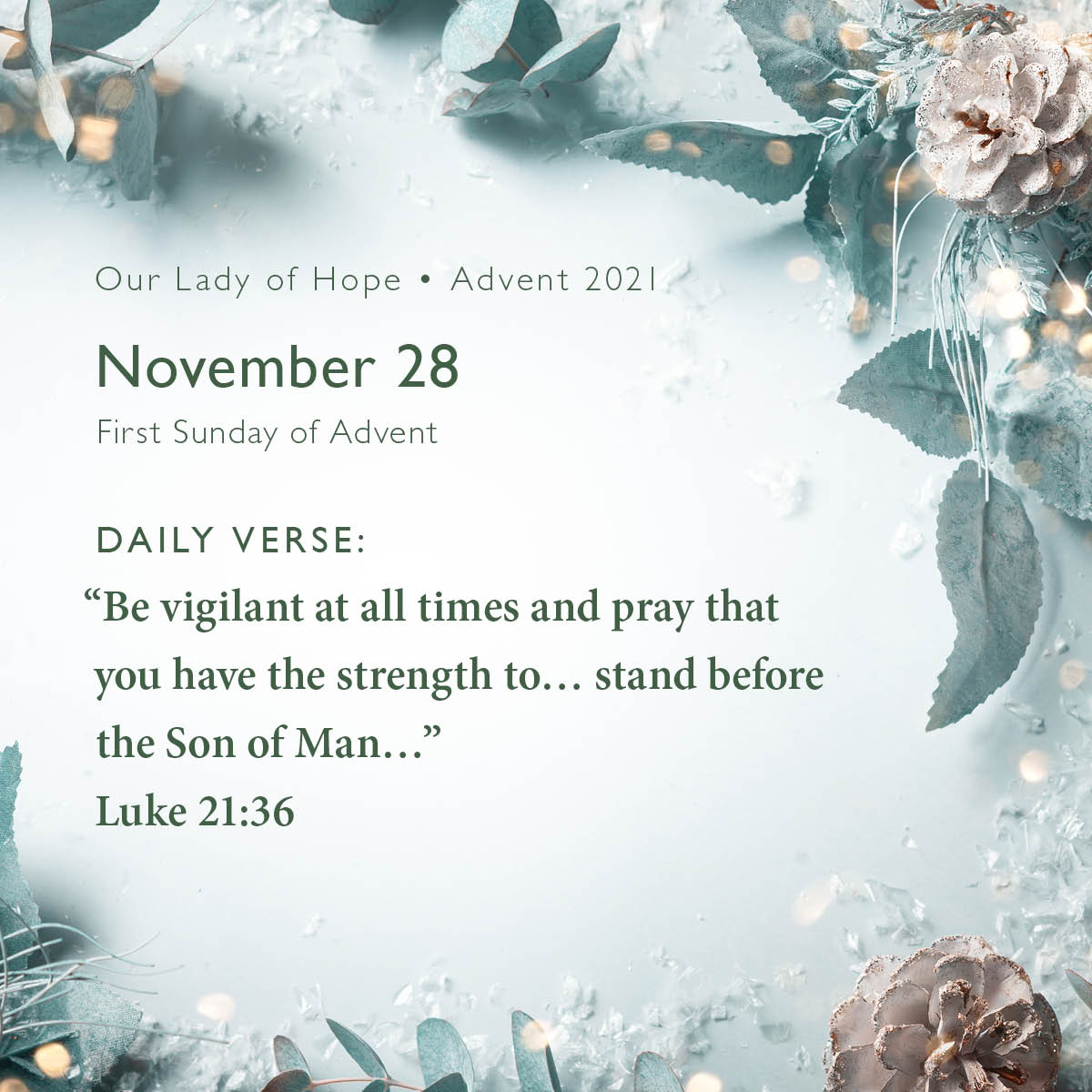 Today we begin our... - Our Lady of Hope Health Center | Facebook