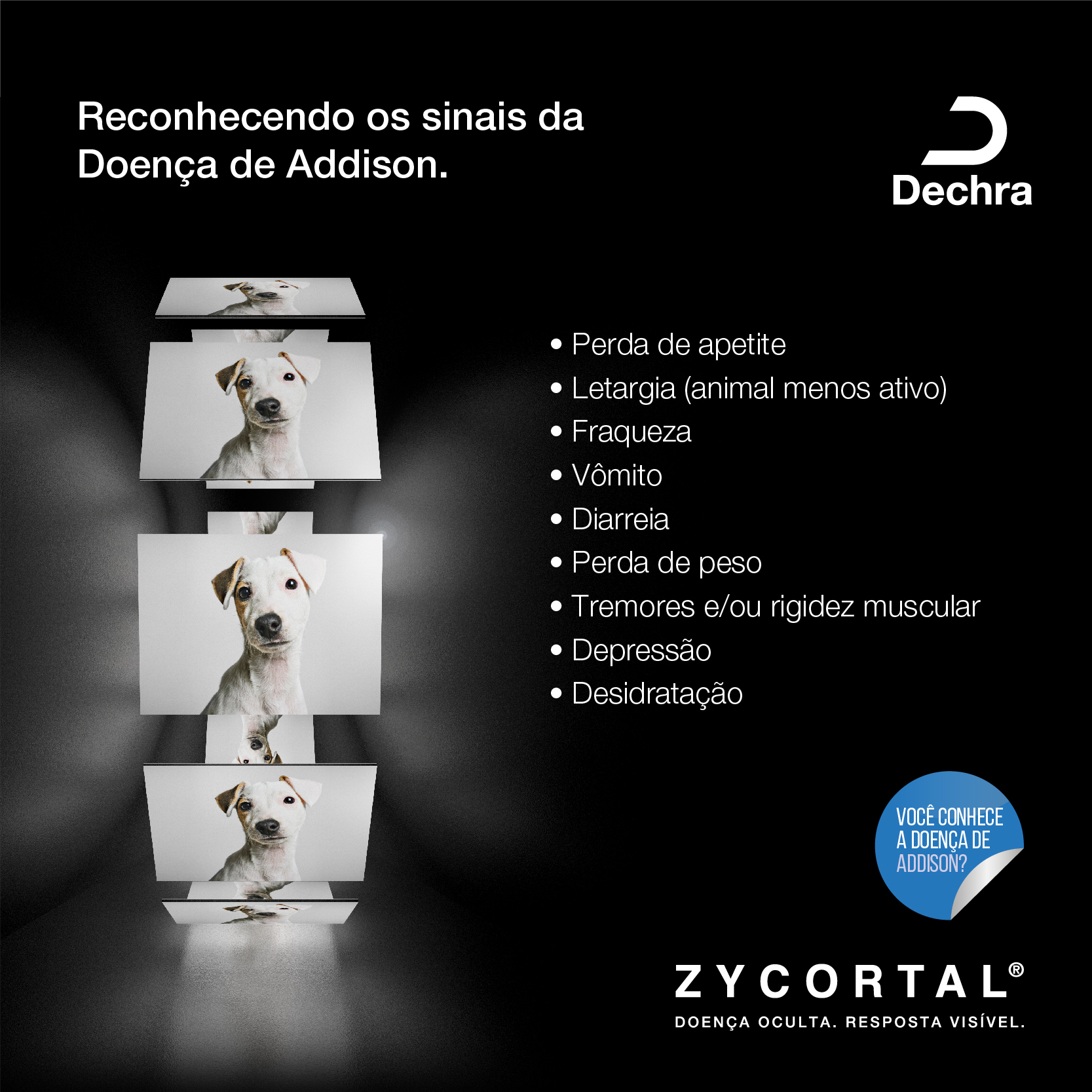 Dechra Brasil - ⚠ A Doença de Addison é uma doença...