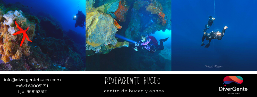 Luces en el inframundo maya Eliette Rutledge | Hipoxia Freediving