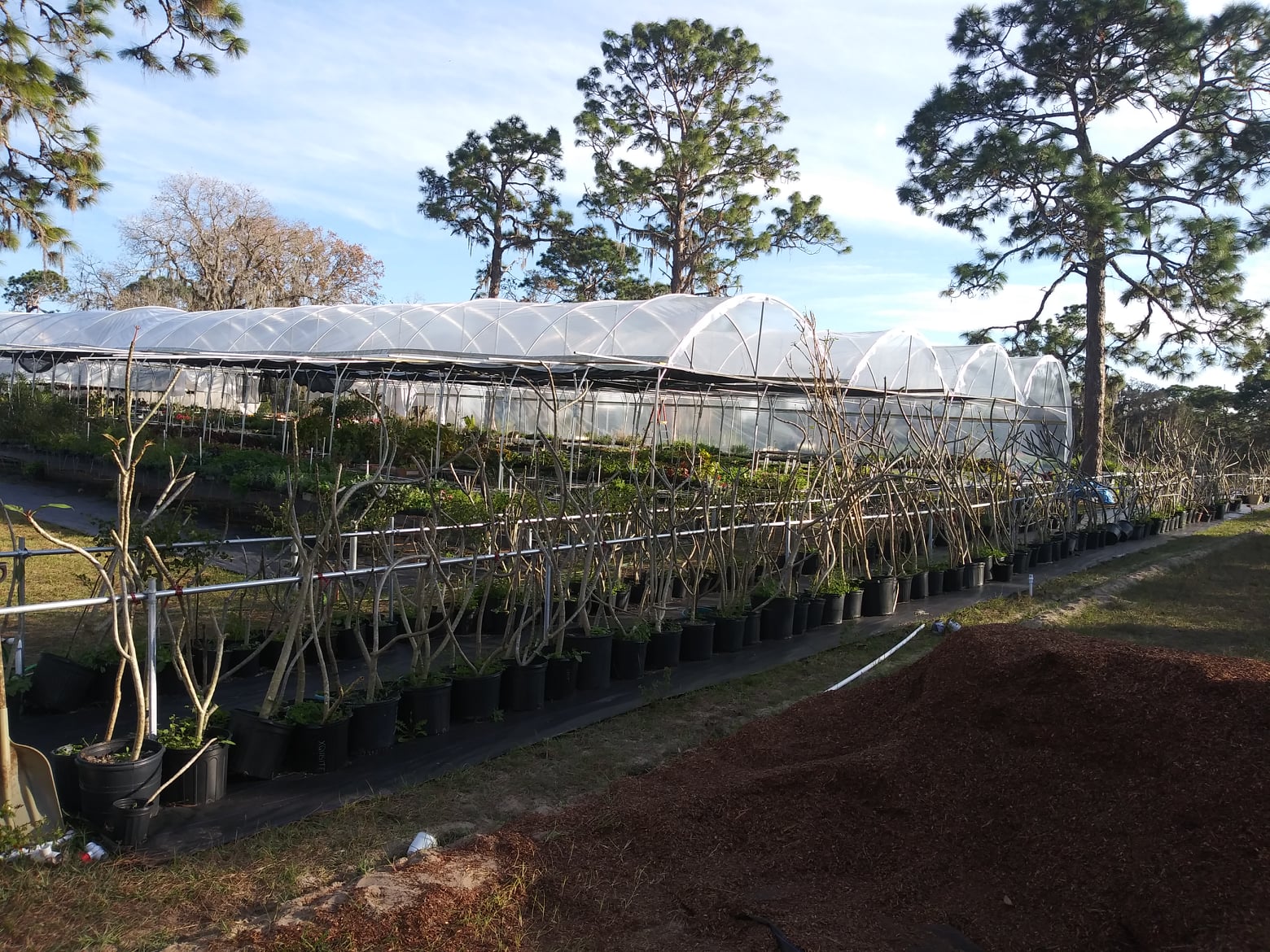 Farmer Joe Plants Home