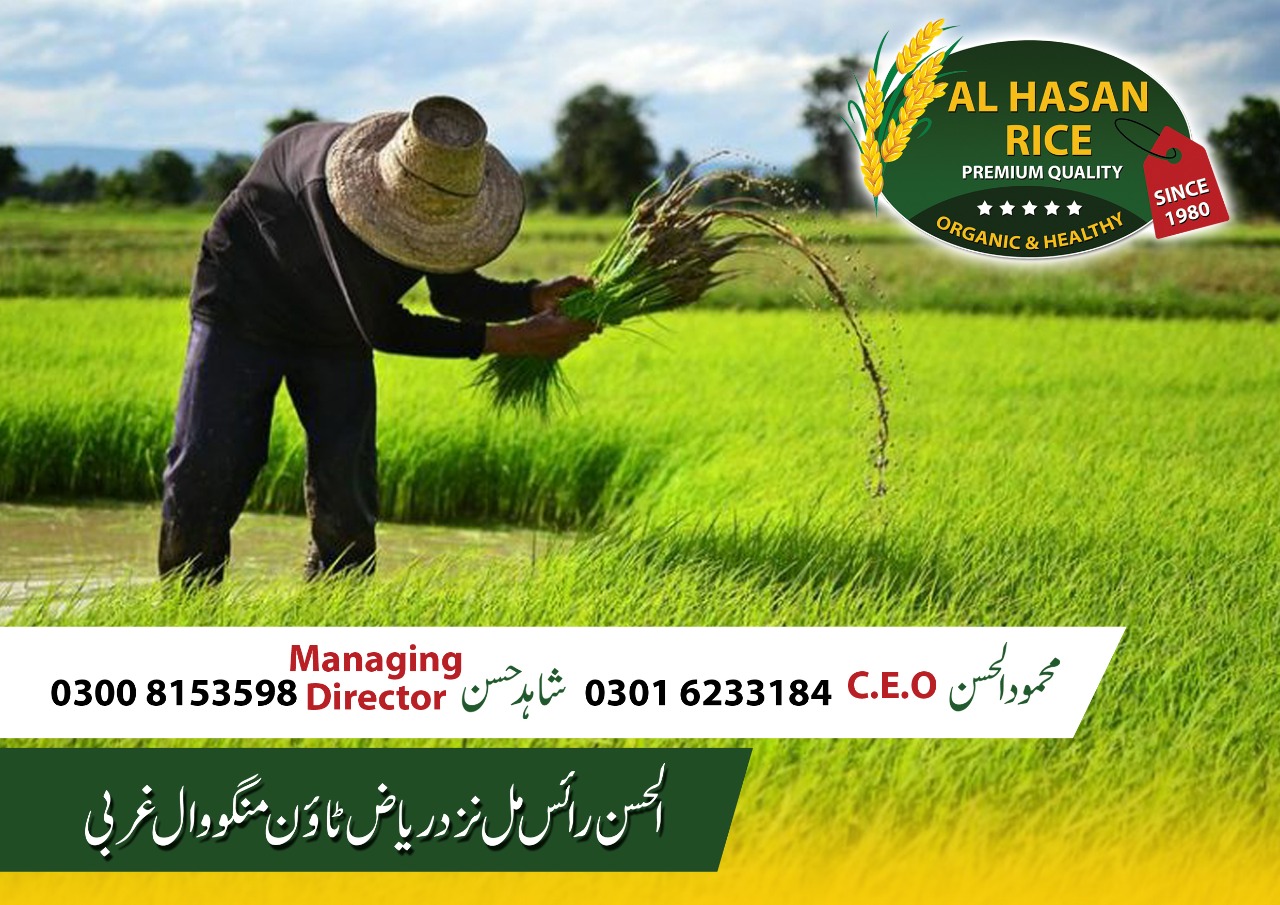 Ambition Grammar... - Ambition Grammar School Mangowal Gujrat