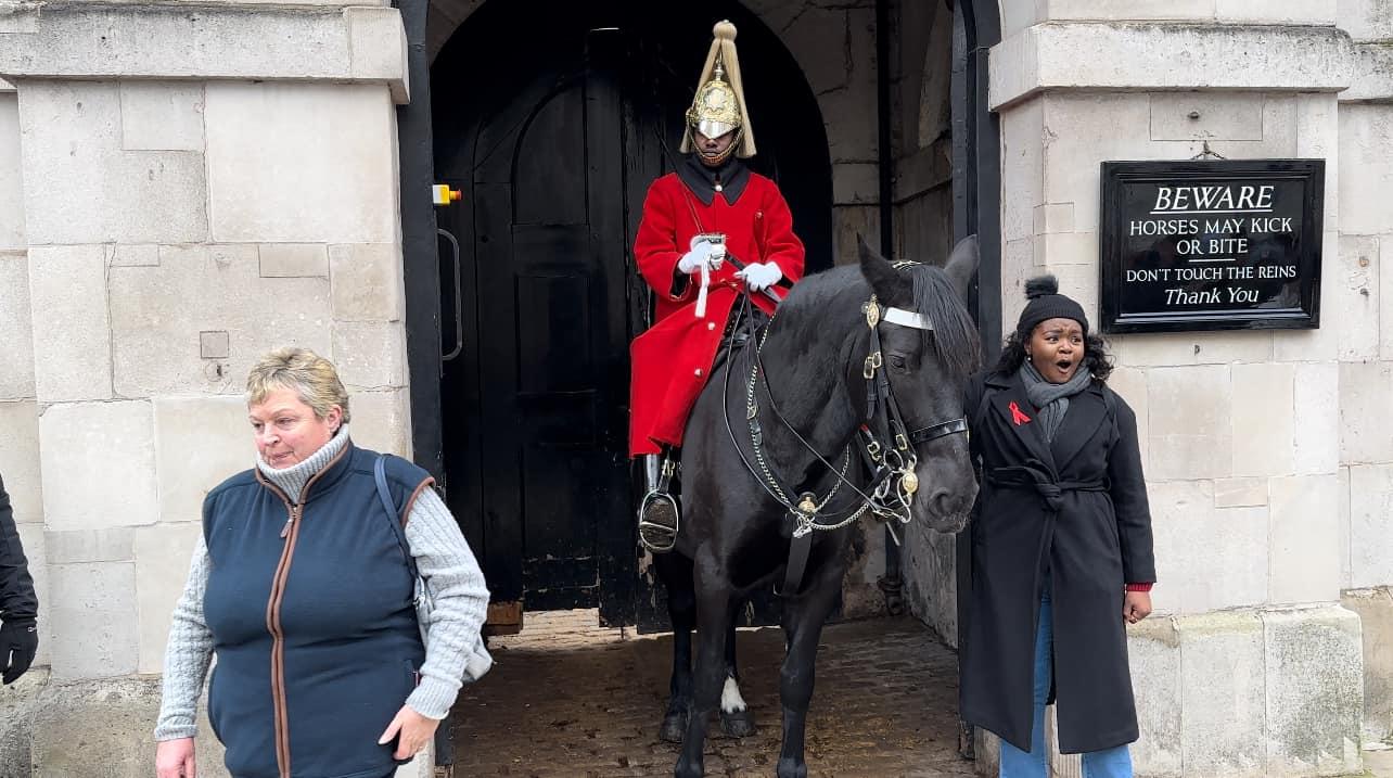 Britain - The King’s Life Guards at Horse Guards Parade #reelschallenge ...