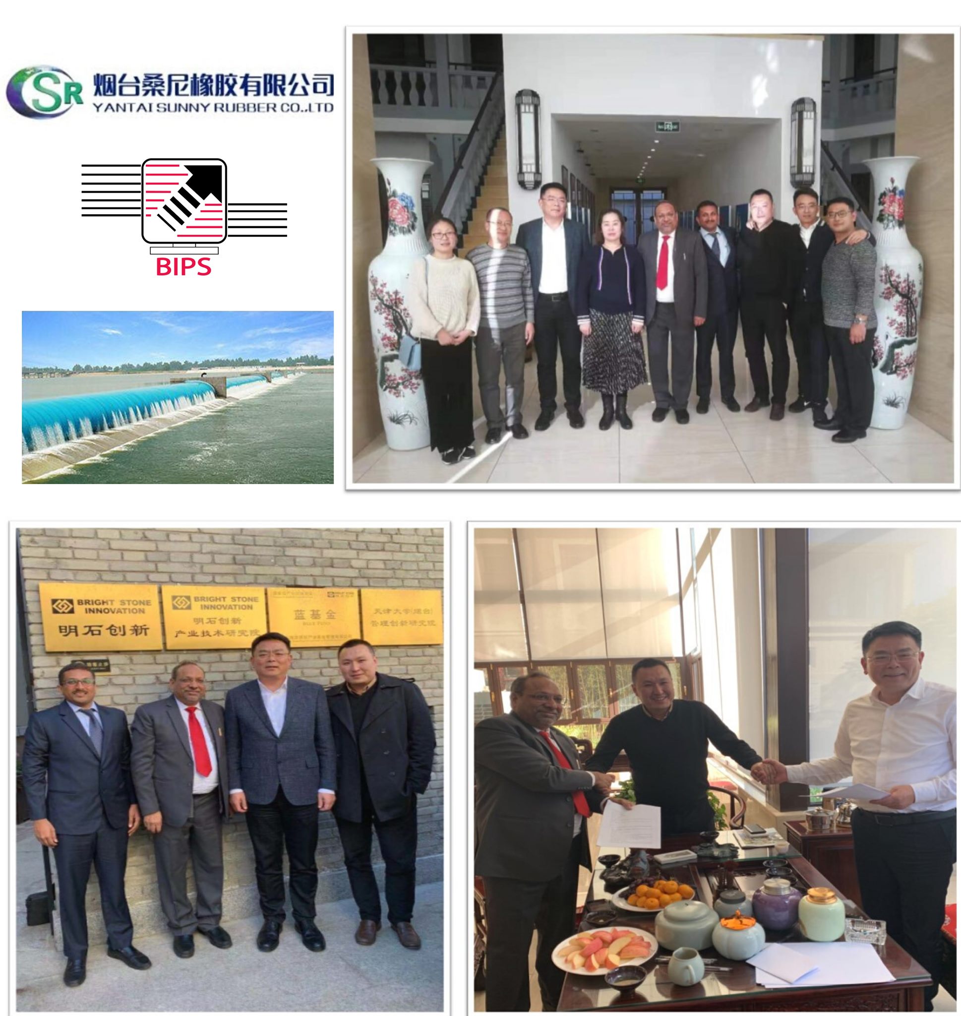 Bips Systems limited