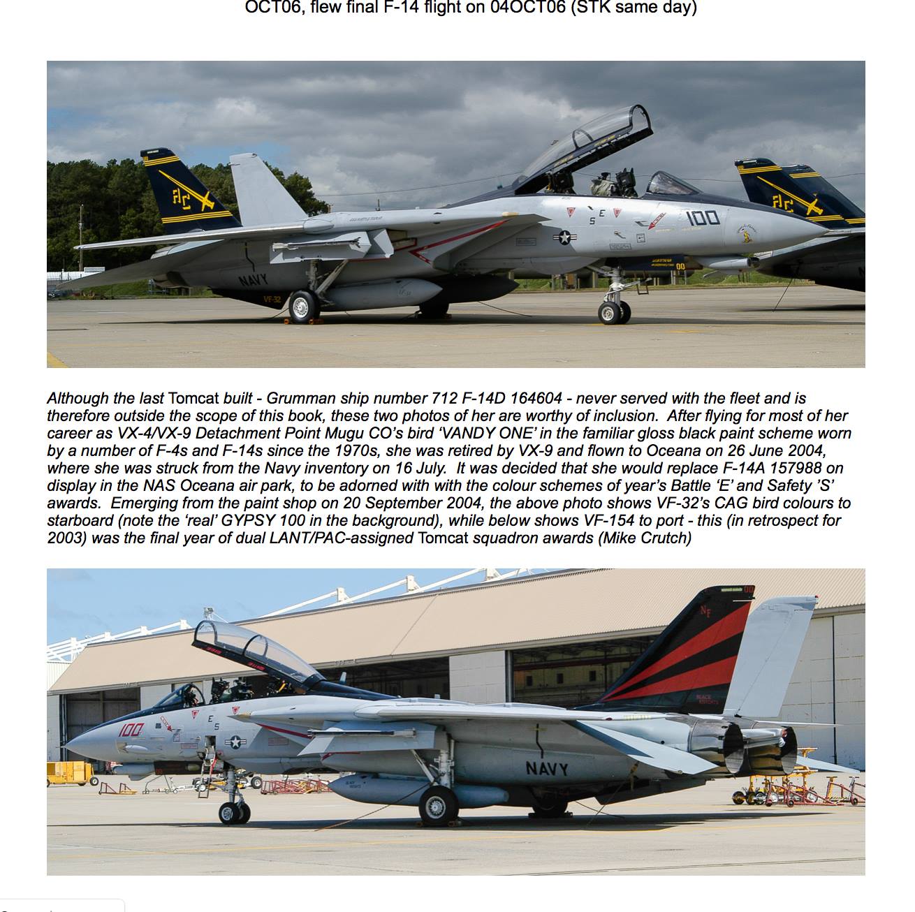 WITTY WINGS F-14 TOMCAT VF-154 BLACK KNIGHTS NF100- 2003
