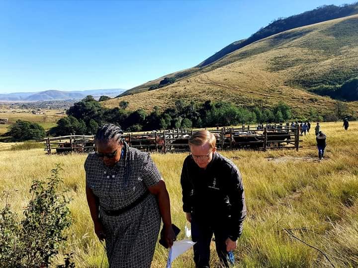We proudly opened 2 cattle handling... - Mayor Chris Pappas | Facebook