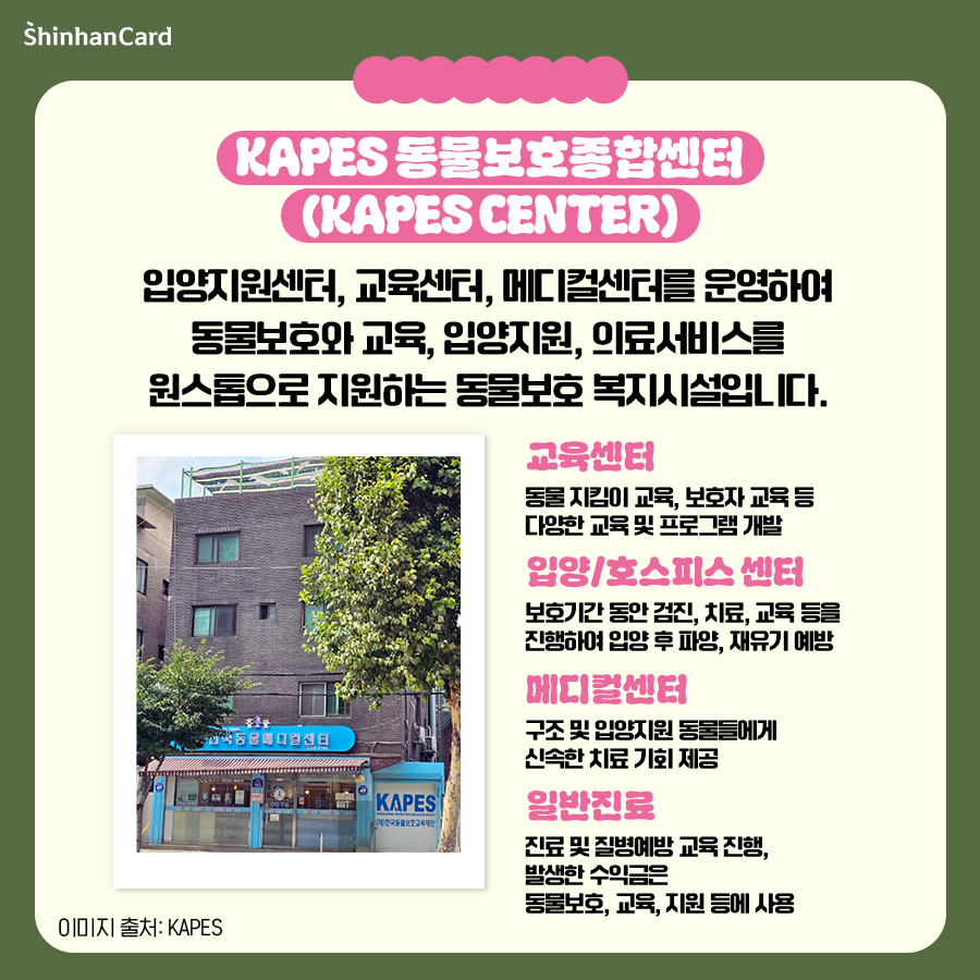 한국동물보호교육재단 KAPES added a new photo. - 한국동물보호교육재단 KAPES