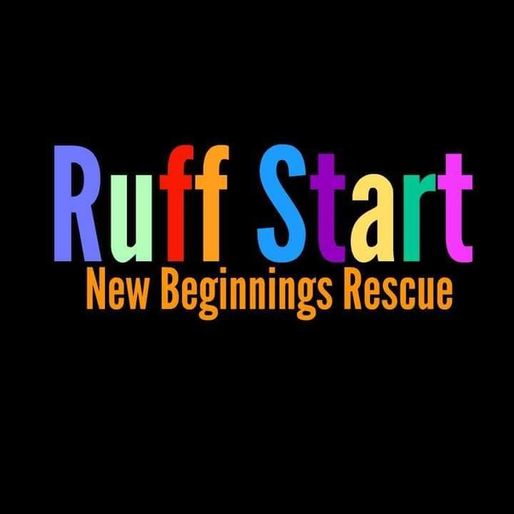 Ruff Start New Beginnings | Colborne ON
