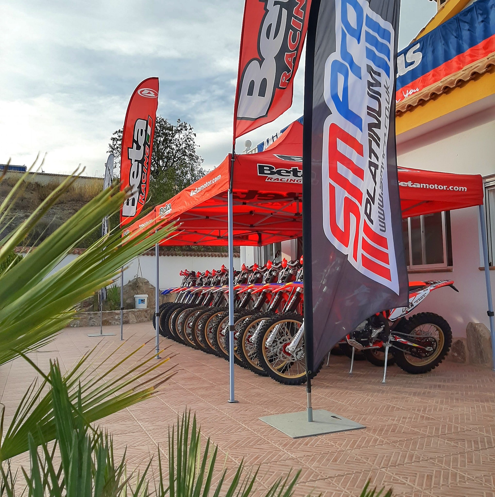 Ready for your riding holiday in southern Spain 🇪🇸 look no further ...