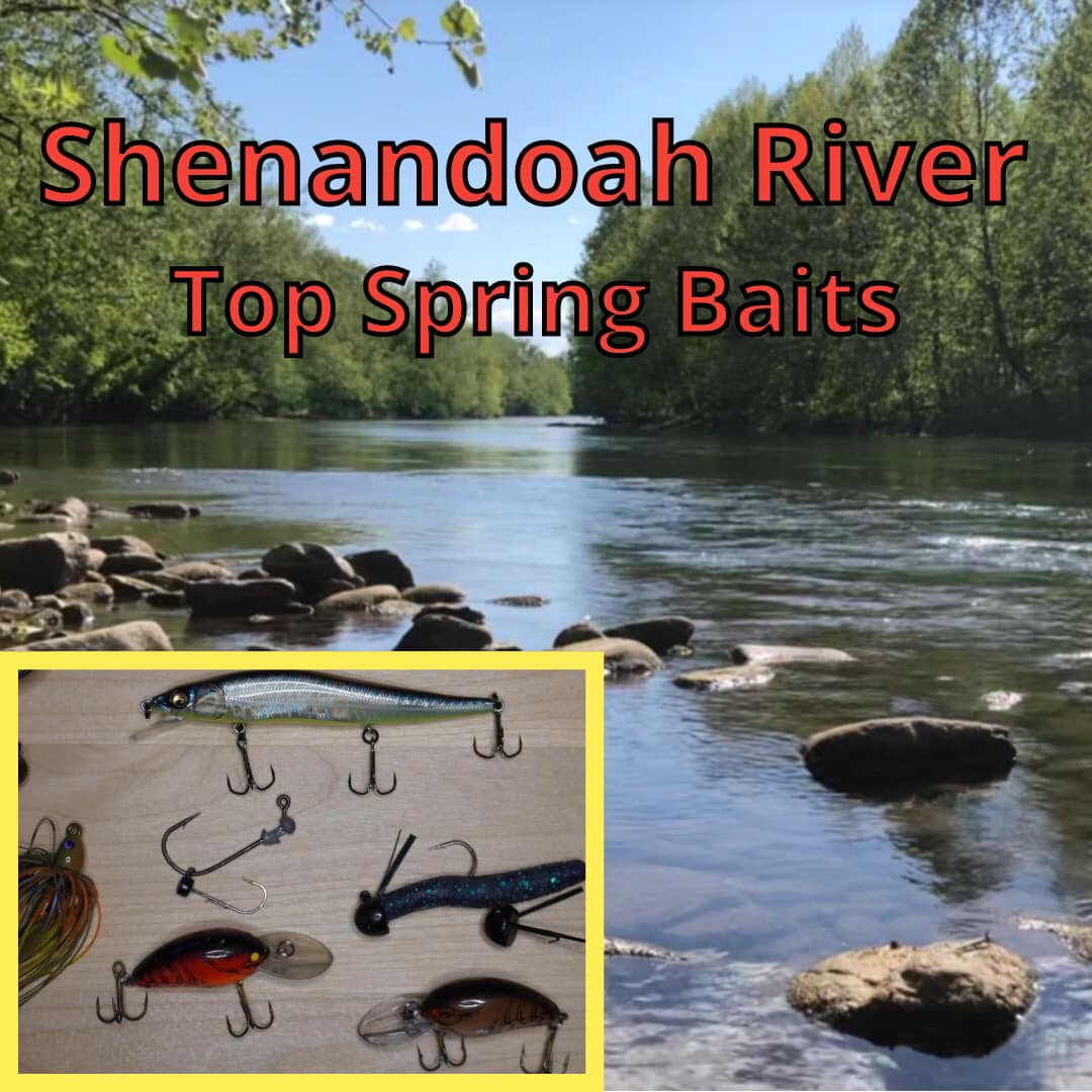 2018 baitcasting rods Shakespeare Alpha Low Profile Combo The model range utilizes Speed Spool® ITB 200 Spövariant_Resespö Size:1/2 oz (2-Pack)