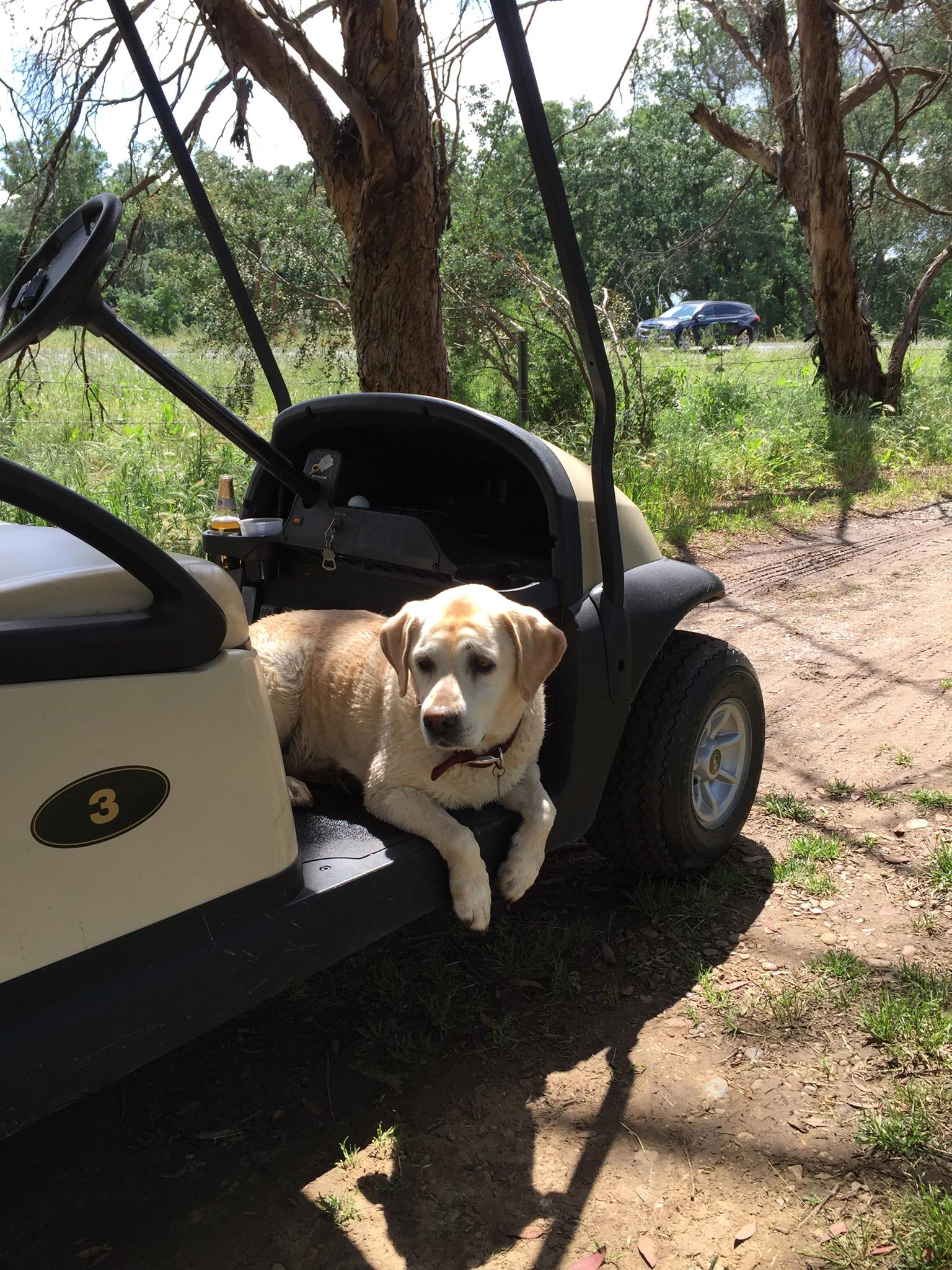 Grape Ranch Golf Club | Palo Cedro CA