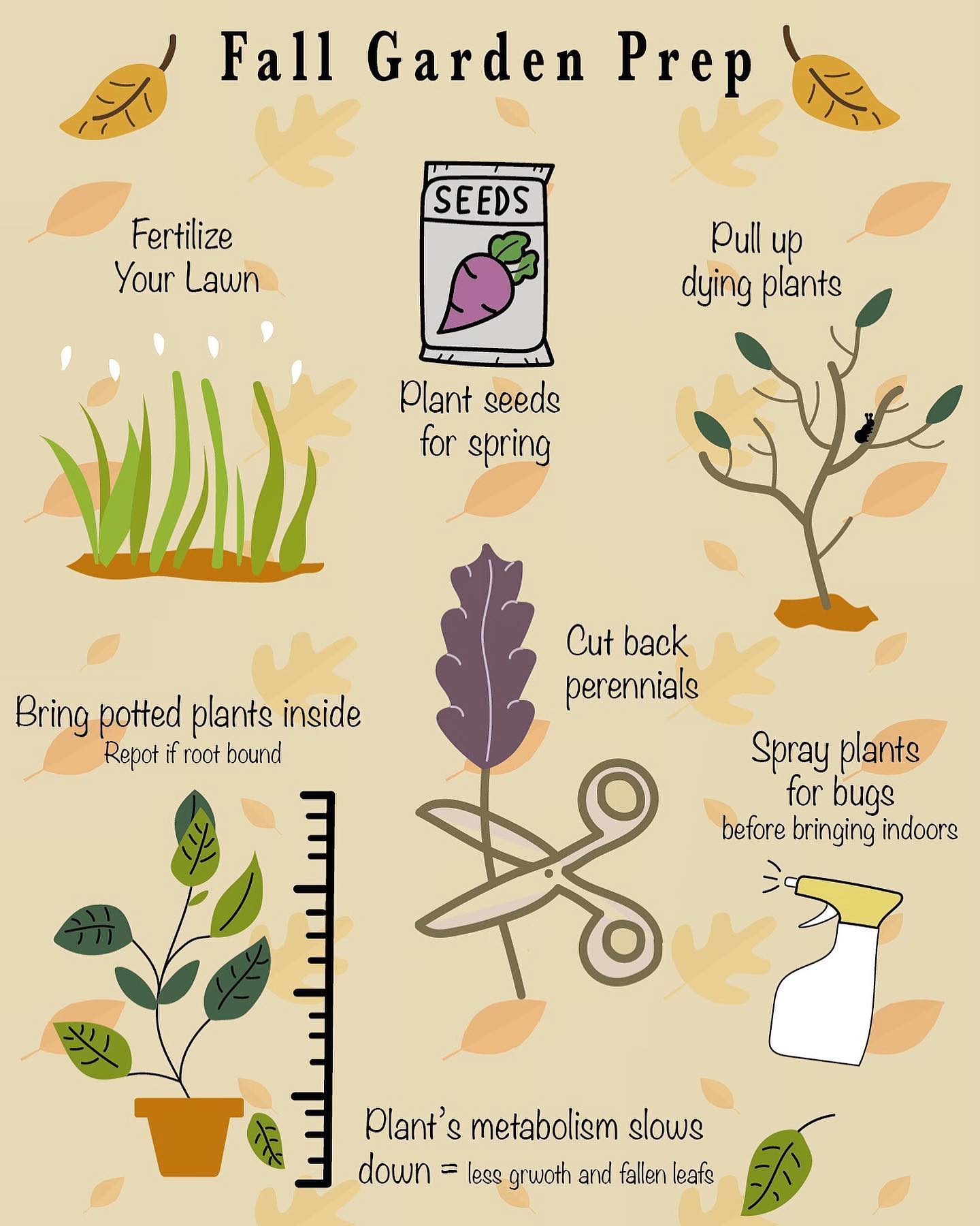 Bloomers Home and Garden - Fall has arrived! Here are a few fall ...