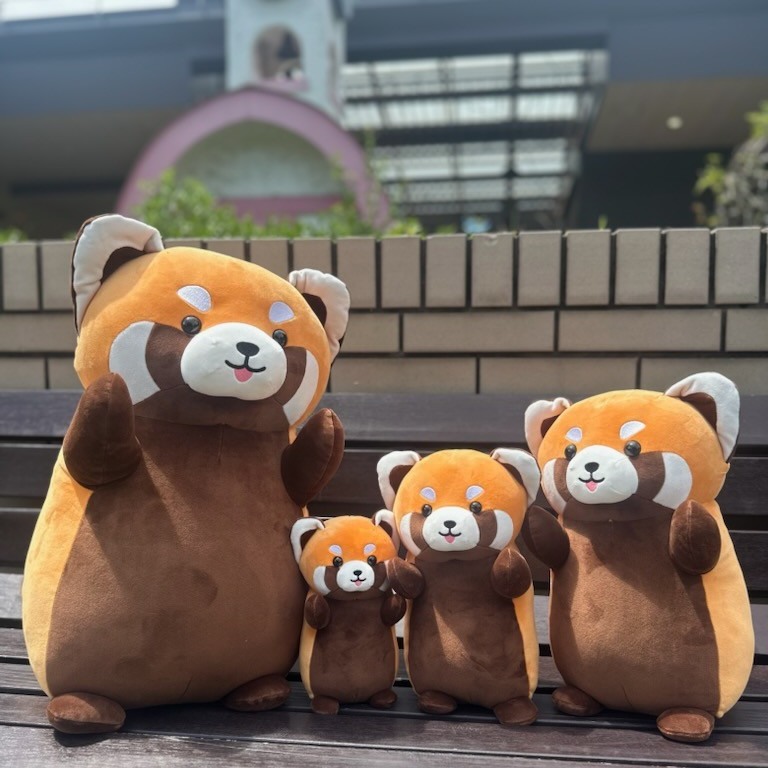 こんばんは⭐ 天王寺動物園グッズショップ担当です✨ 本日(4日)は、当