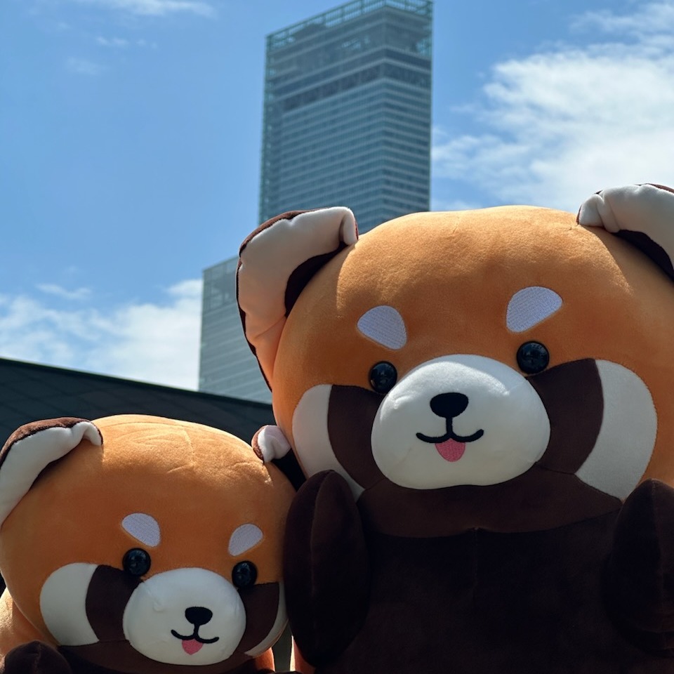 こんばんは⭐ 天王寺動物園グッズショップ担当です✨ 本日(4日)は、当