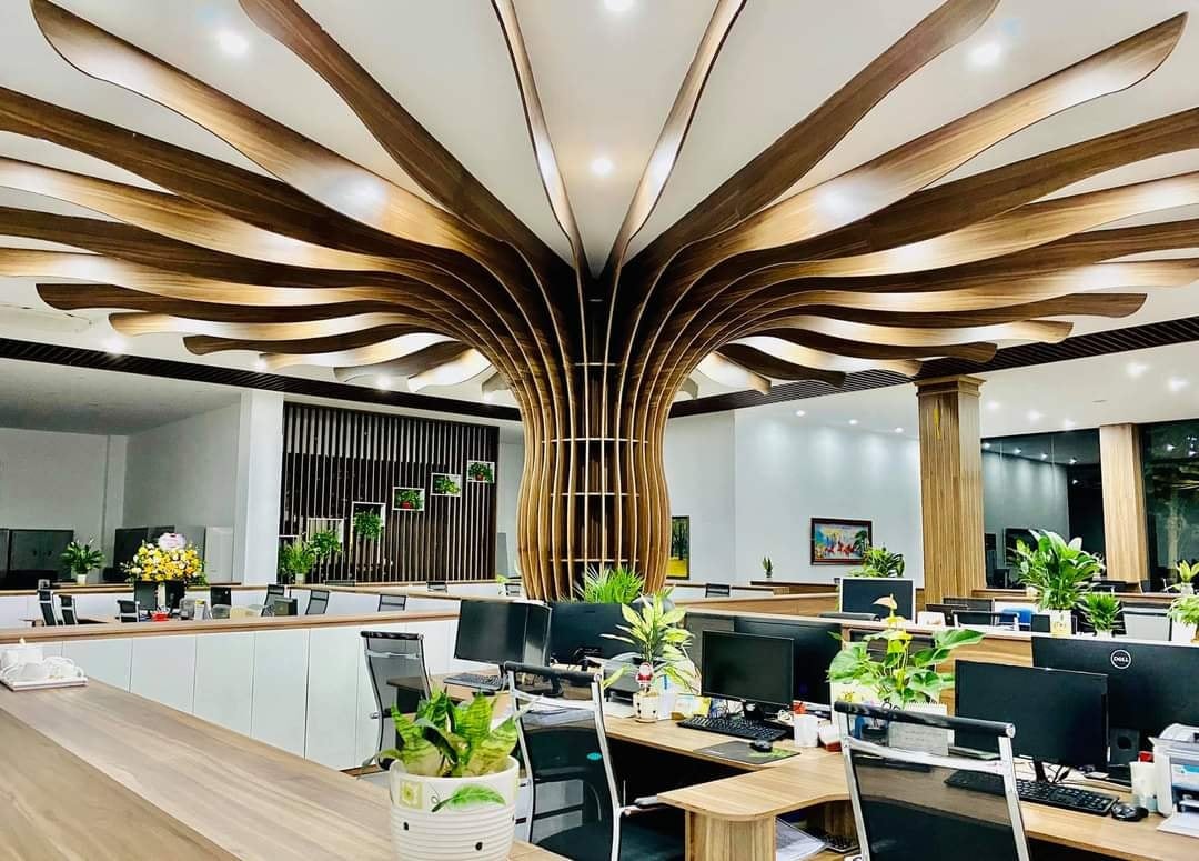 TTB Group | Thái Nguyên
