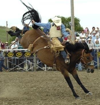 Wild West Wednesdays / Hart Ranch Rodeo Series | Rapid City SD