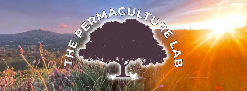 The Permaculture Lab | San Diego CA