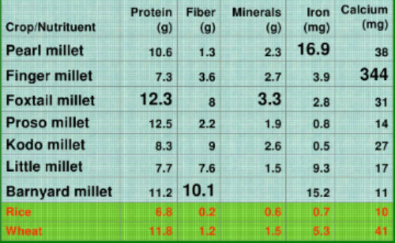 Aurovika - All about different types of millet/Siri Dhanya or kiru ...