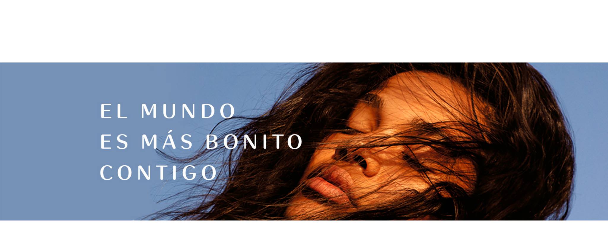 Julink - El colibrí simboliza la alegría y la belleza, pero también ...
