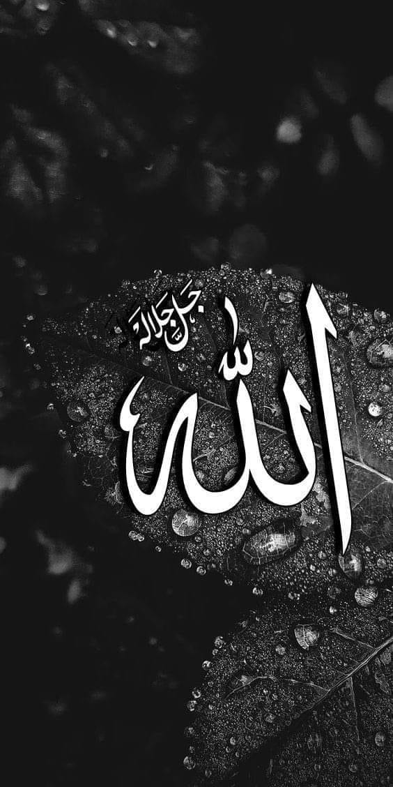 Reasons to Believe in Muhammad - (RTBM # 2.15) INSPIRED BY MUHAMMAD (P ...