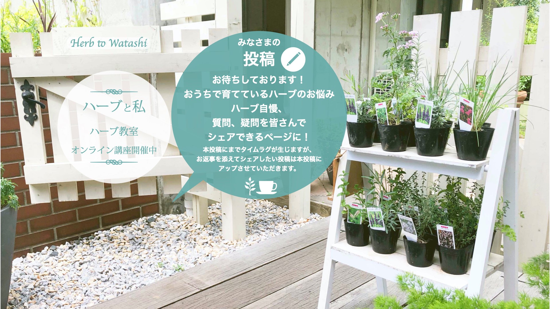 ハーブティー専門店YUANHERB（... - ハーブティー専門店YUANHERB（ユアンハーブ）大阪herbteashop