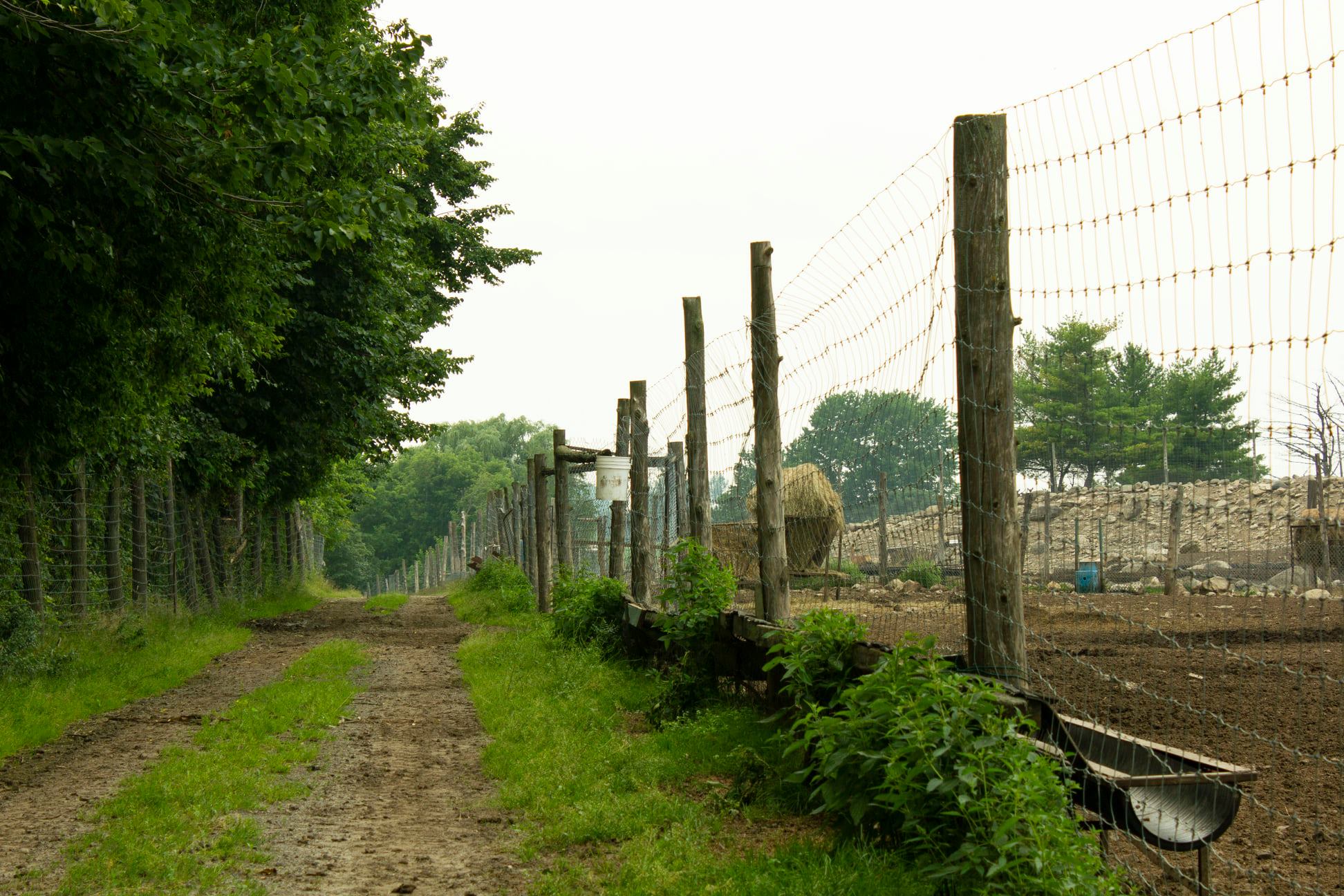 Ferme Richard Lemay - Cerfs Rouges