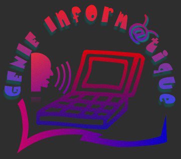 LES GENIES DE L'INFORMATIQUE