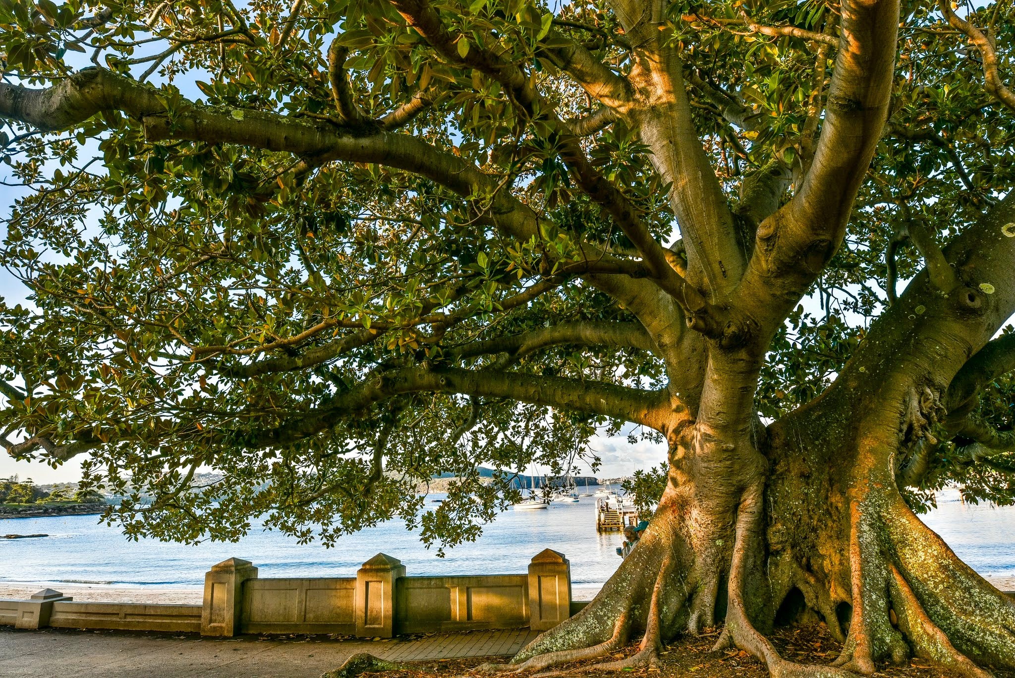 Bay Laundry - Neutral Bay | Neutral Bay NSW