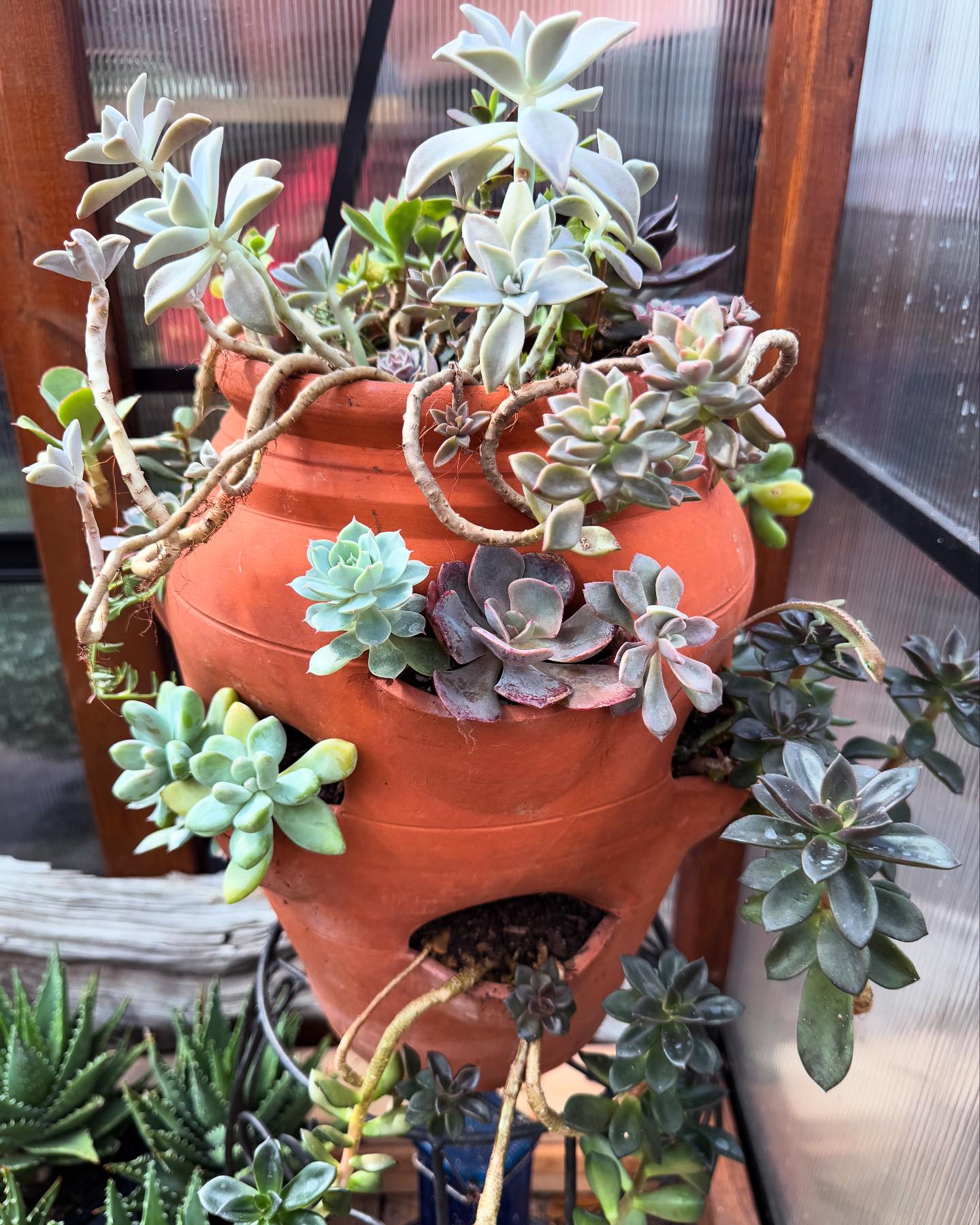 Wow! We are so excited to have Endless Garden Party join us at our 