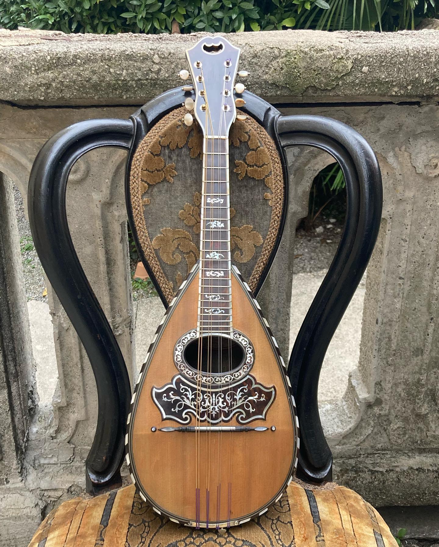 What is a Vinaccia mandolin with F.lli Vinaccia label?