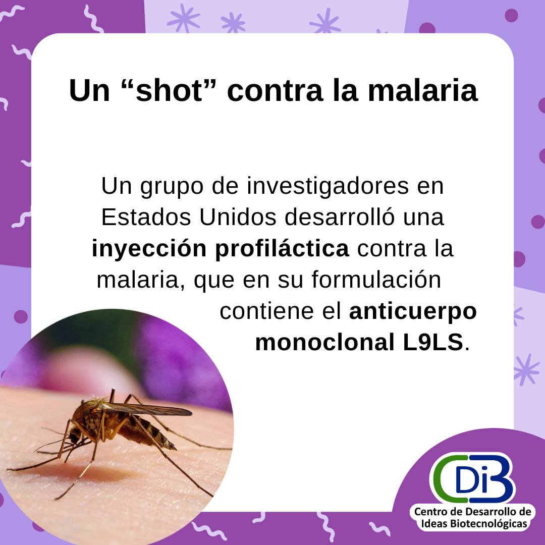 CDIB - Centro de Desarrollo de Ideas Biotecnológicas | Quito