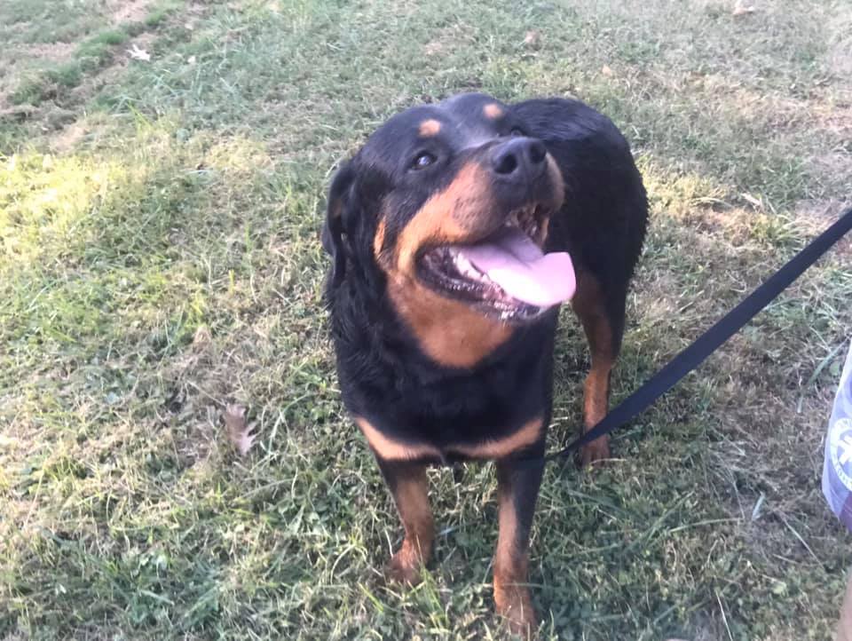 J&J News - The ADRC with Brandon Riffe do so many rescues... | Facebook