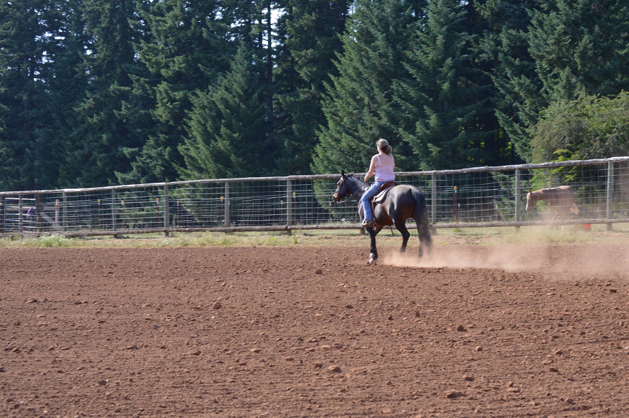 H & H Ranch | Oregon City OR