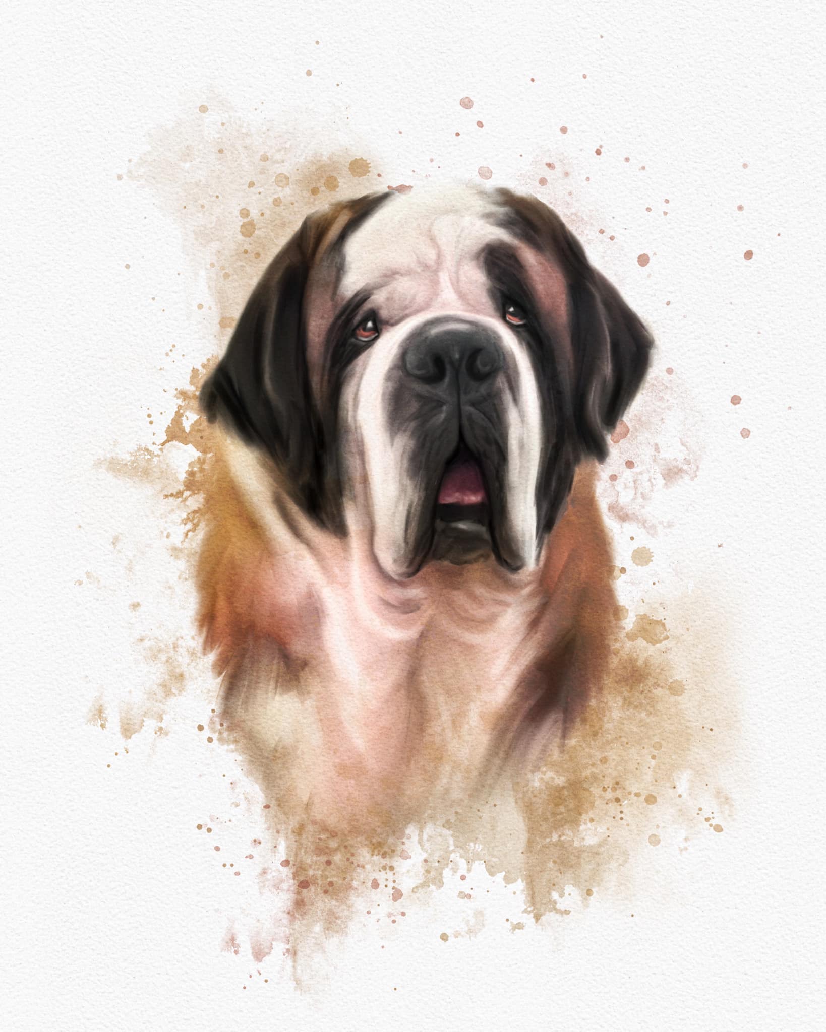 This gorgeous St Bernard was accepting Swiss Francs for pats 🇨🇭🏔🐶