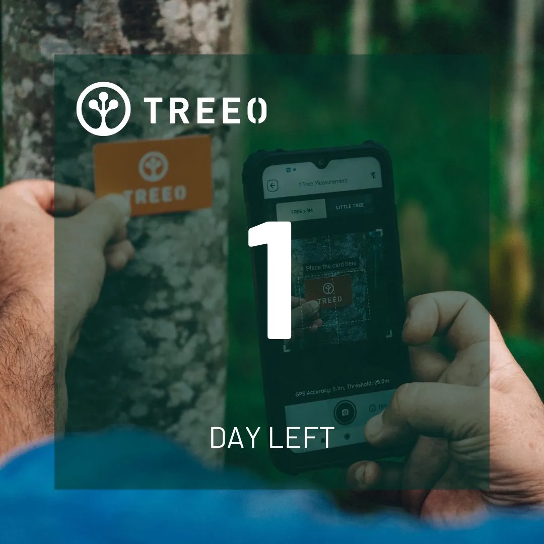 TREEO - Fairventures Digital GmbH | Stuttgart