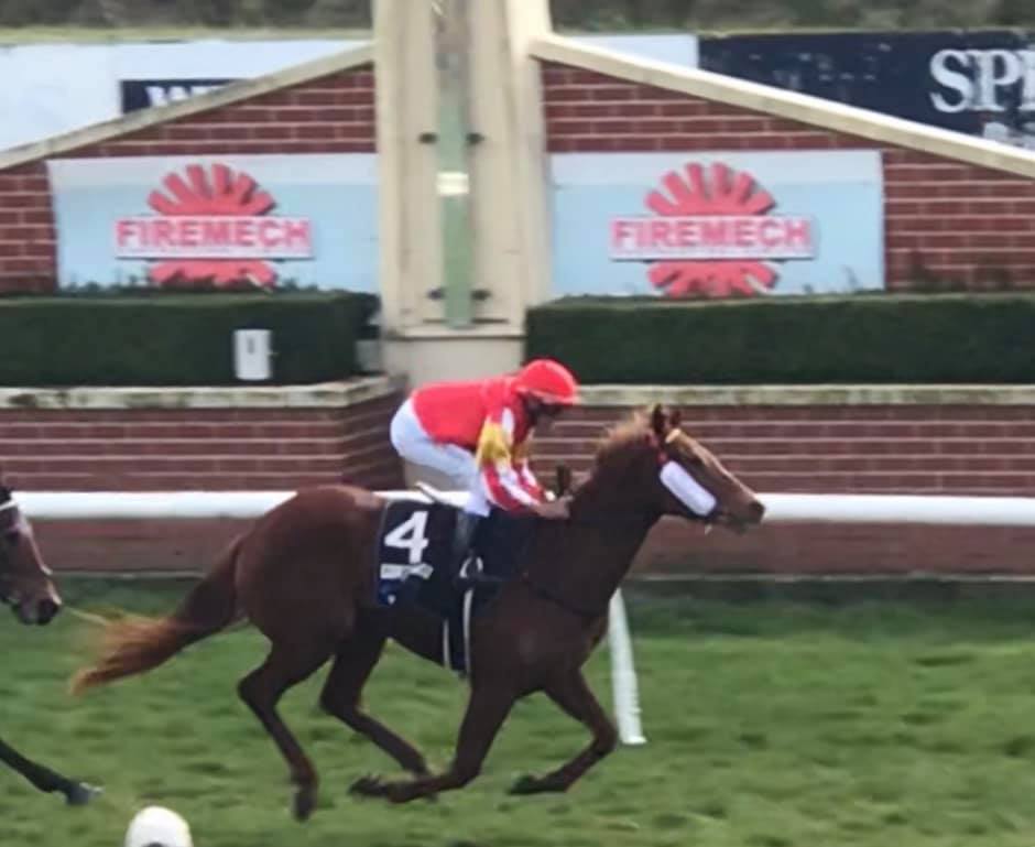 HOT TAP “ well done team... - Taplin Racing Stables | Facebook