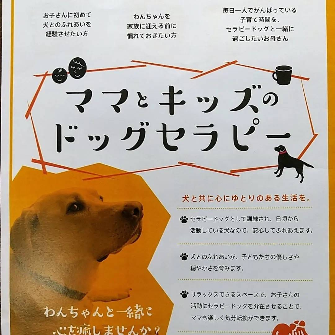 一般社団法人 アニマルセラピー こころ サポート協会 (@animaltherapy