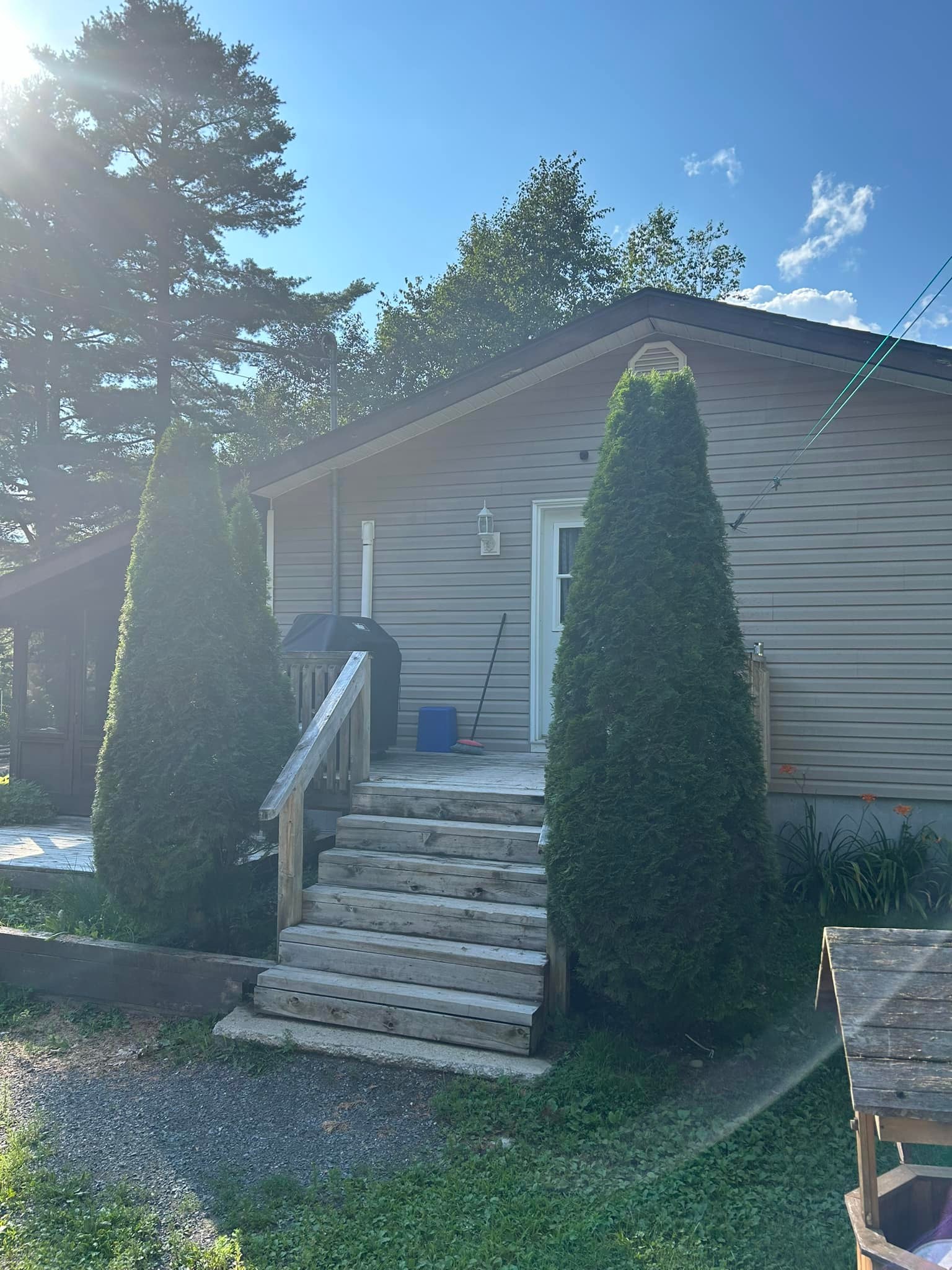 Gilmore Tree Service | Stanley NB