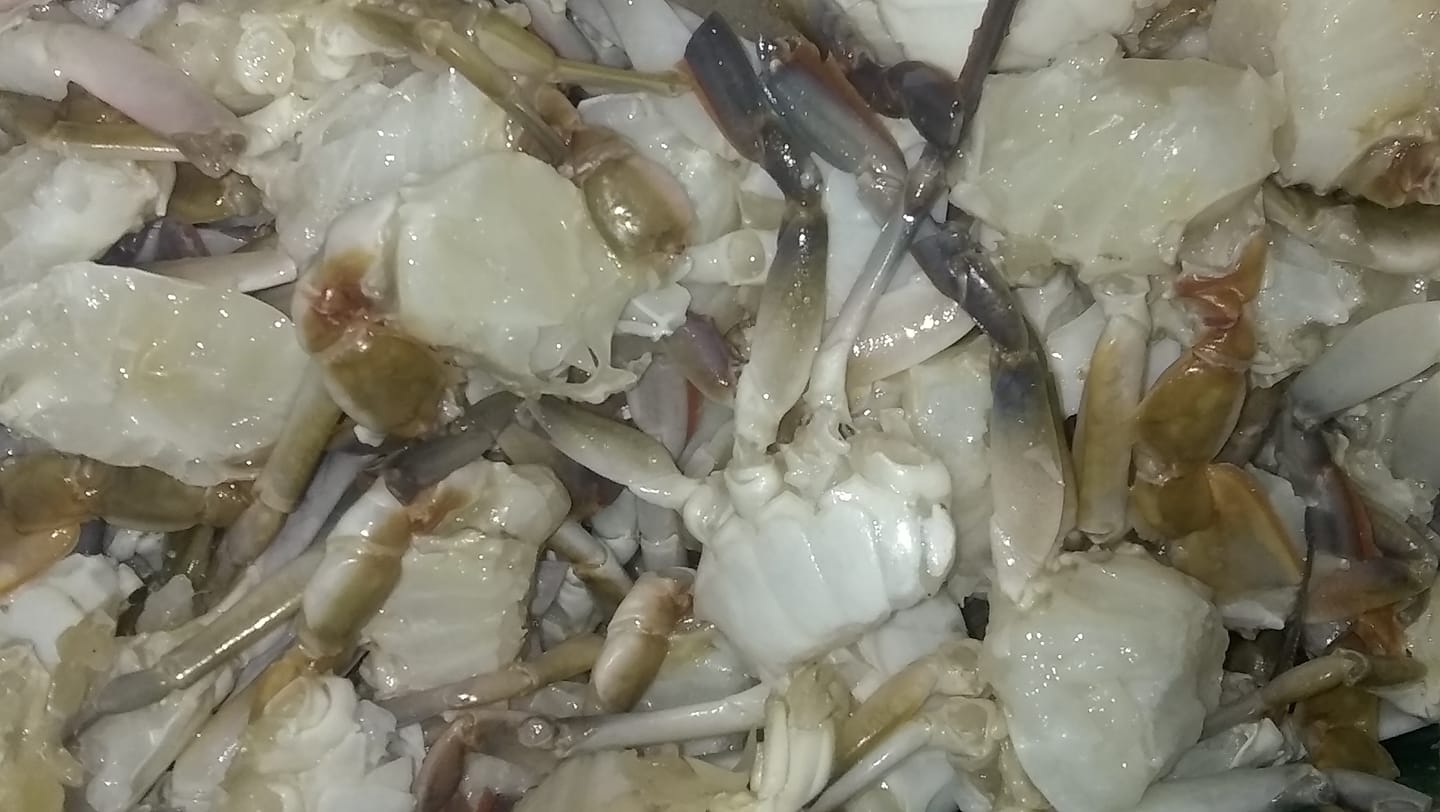Huzaifa International sea Foods Products