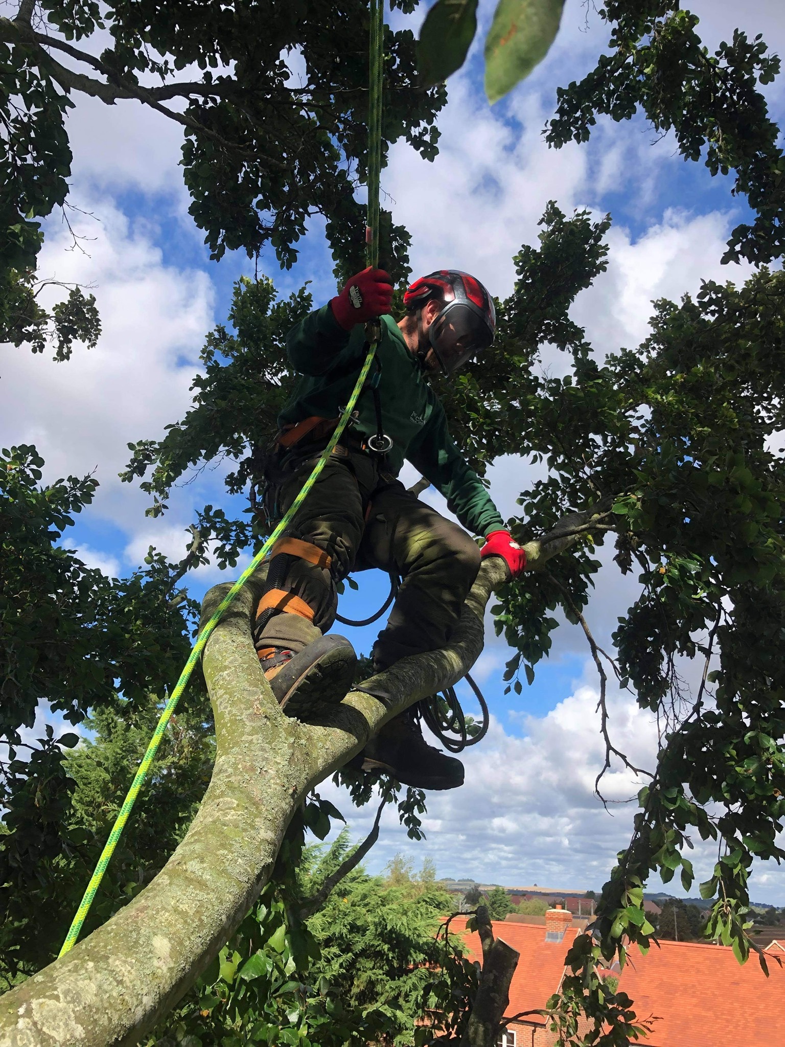 1st class tree surgeons | Abingdon
