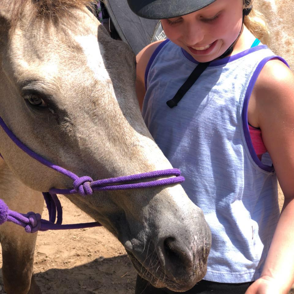 Balcones Springs Stables added... - Balcones Springs Stables