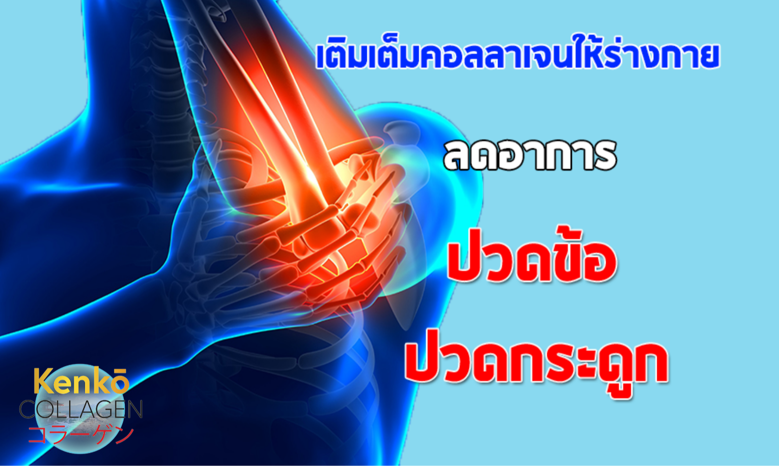 The... - The Ribbins - โกดังแฟชั่นราคาถูก มีเก็บเงินปลายทาง