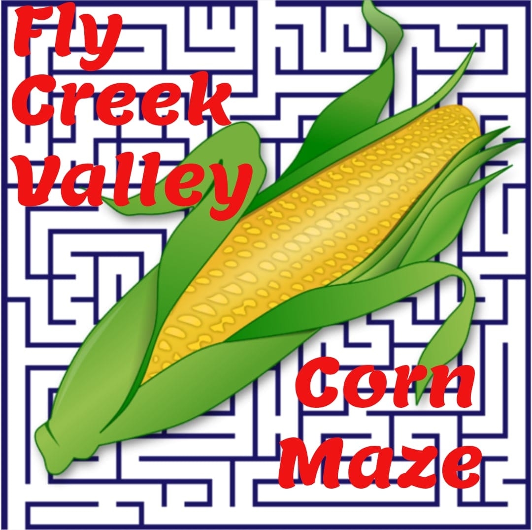 Did anyone... - Fly Creek Valley Corn Maze & Pumpkin Patch | Facebook