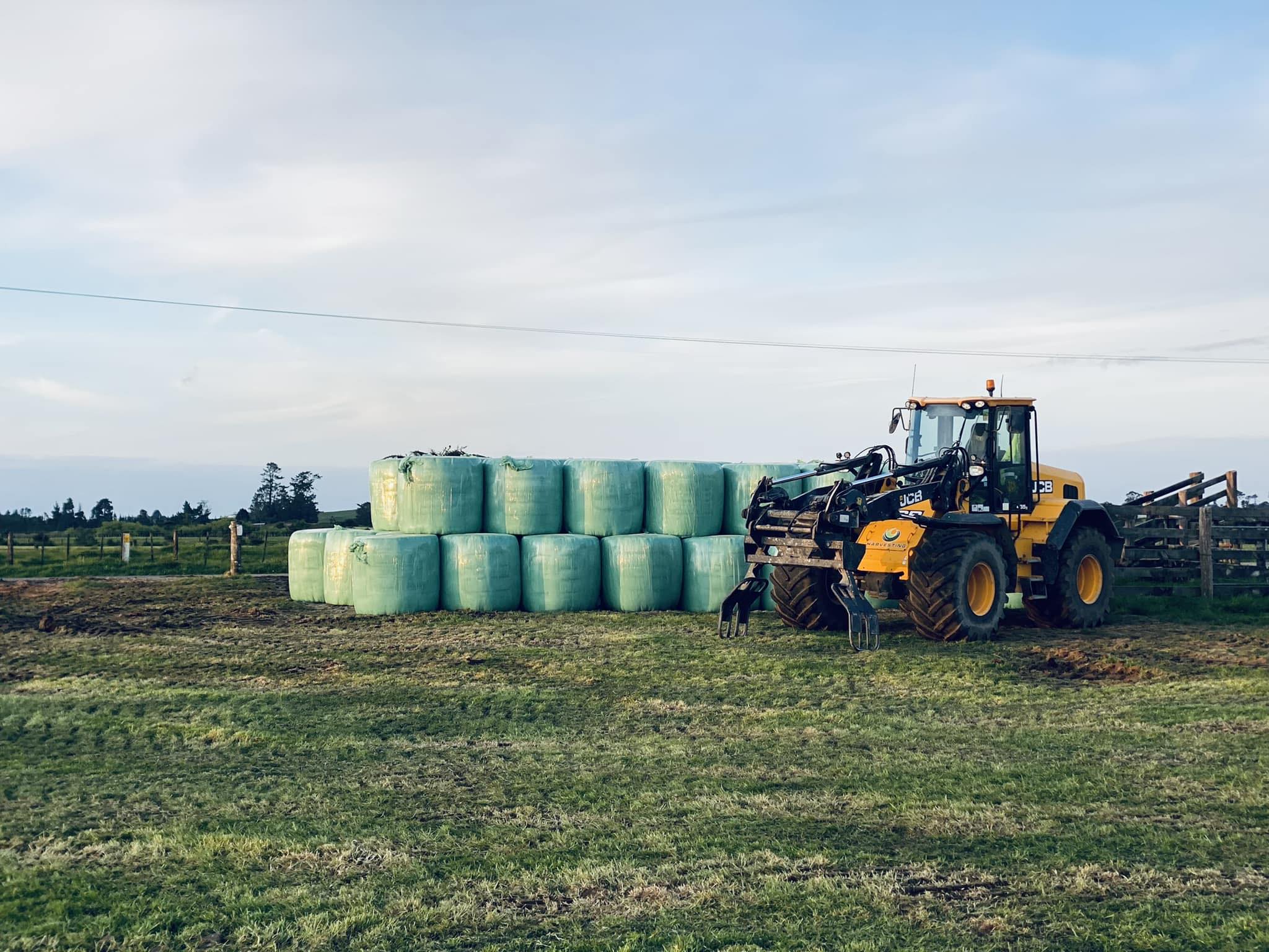 Carrfields Livestock... - Carrfields Livestock Taranaki