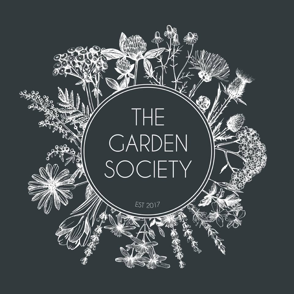 Calling all Elf Recruits, The Elf Society returns for Christmas 2025 ...