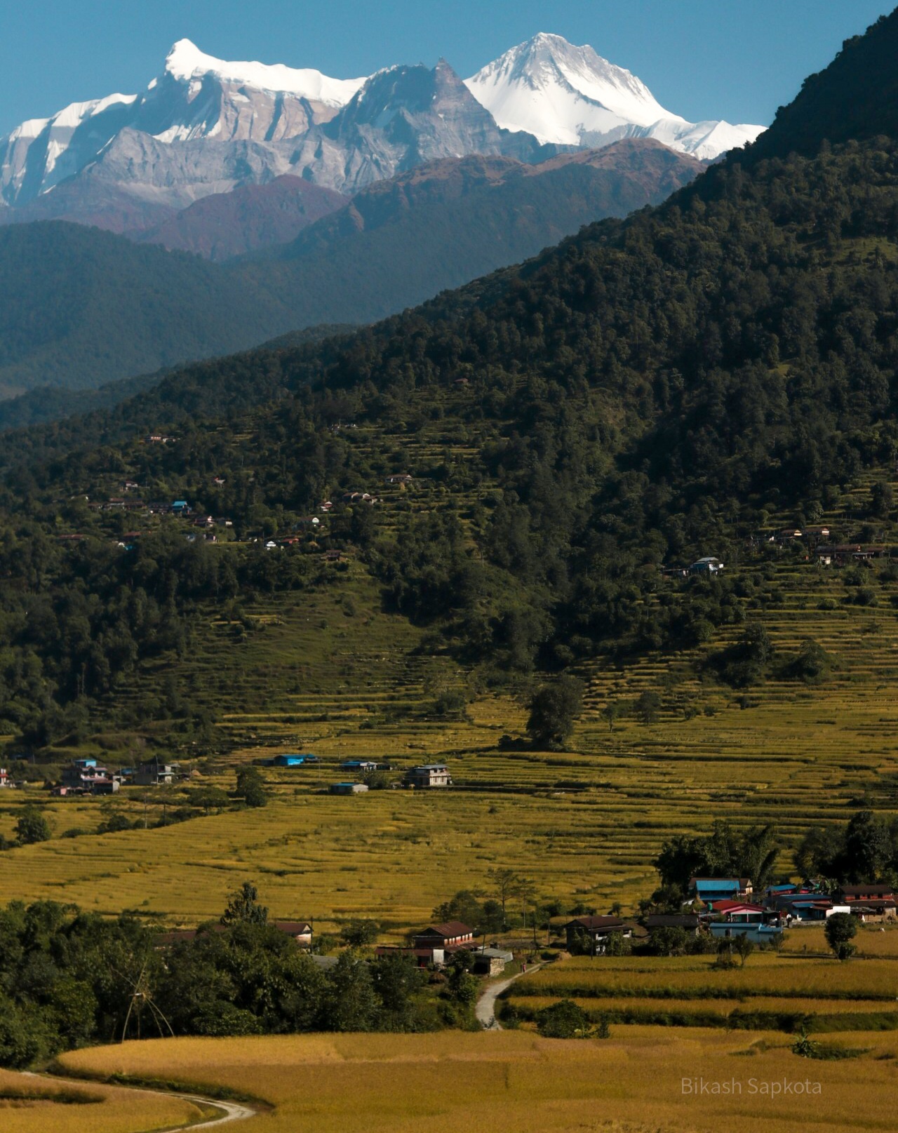 Routine of Nepal banda - Good morning Nepal from Churunga area, Kaski ...